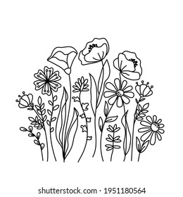 Hand drawn wildflowers meadow. Black and white doodle wild flowers and grass plants. Monochrome floral elements.