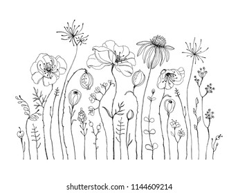 Hand drawn wildflowers and poppies, black and white isolated illustration. Decorative vector print for your template.