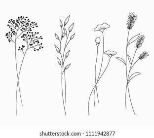 Hand drawn of wildflowers set isolated on white background.