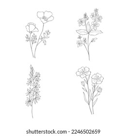 Hand Drawn Wildflowers Set. Line art Vector Illustration.