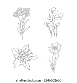 Hand Drawn Wildflowers Set. Line art Vector Illustration.