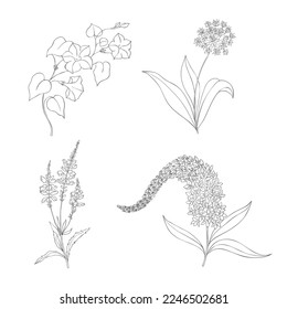 Juego De Flores Silvestres Dibujadas A Mano. Ilustración de vectores de línea de arte.