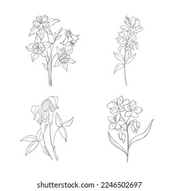 Juego De Flores Silvestres Dibujadas A Mano. Ilustración de vectores de línea de arte.