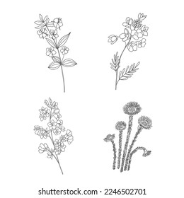 Hand Drawn Wildflowers Set. Line art Vector Illustration.