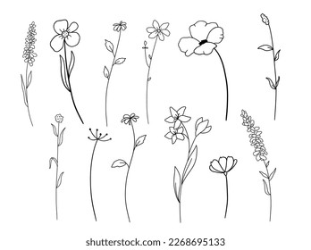 Hand drawn wildflowers set. Vector outline sketch. Line art doodle isolated on white background