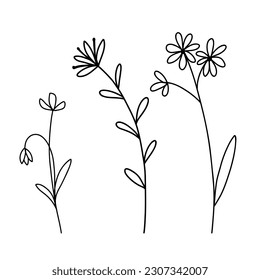 Handgezeichnete Wildblumen-Set. Vektorgrafik-Blumenskizze. Line-Art-Doodle einzeln auf weißem Hintergrund