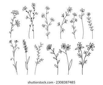 Hand drawn wildflowers set. Vector outline flower sketch. Line art doodle isolated on white background