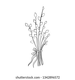 Hand drawn willow branch, symbol of Happy Easter, vector ink sketch illustration isolated on white, decorative floral bouquet verba with bow line art vintage herbs for design greeting card, invitation