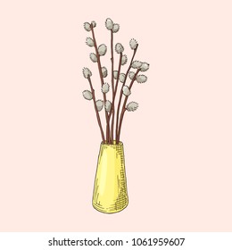Hand drawn willow branches in the vase. Spring and easter symbol. Vintage doodle illustration