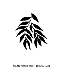 Handgezeichnetes Wildblatt, Ast.
Vektorgrafik für Karte, Innendekor. 
Handgezeichnete Zierpflanze.