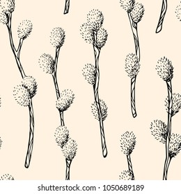 Hand drawn willow vector seamless pattern. Spring branches. Sketches vector illustration. Easter decoration background. Endless floral graphic texture on beige. Fluffy willow branches. Easter holidays