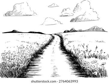 Hand drawn of a winding country road through a grassy field with wildflowers and distant hills