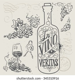 hand drawn wine collection. Vector illustration.