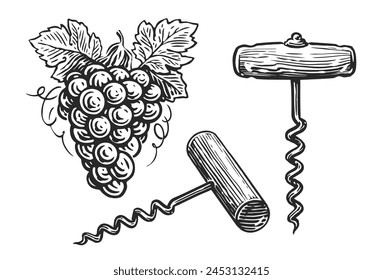 Hand drawn wine corkscrew in engraving style. Vector illustration. Vintage style sketch