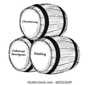 Hand Drawn Wine Elements