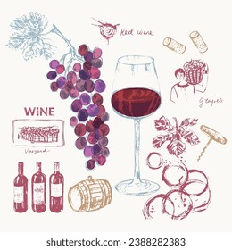 Ilustración de vino dibujada a mano. Botellas de vino, vidrio, uvas, vid, viñedos, manchas de vino tinto, corcho, bodega. Para la carta de vinos y bebidas, etiquetas y empaques, invitación a fiesta.