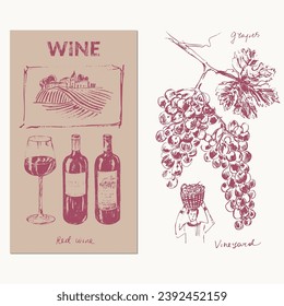 Ilustración de vino dibujada a mano. Botellas de vino, vidrio, uvas, vid, viñedos, corcho, bodega. Para la carta de vinos y bebidas, etiquetas y empaques, invitación a fiesta.