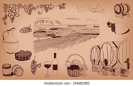 hand drawn wine set on background