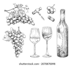 Hand drawn winery collection with glass utensils and grape vine plant elements, engraving sketch style vector illustration isolated on white background. Grape wine icons.