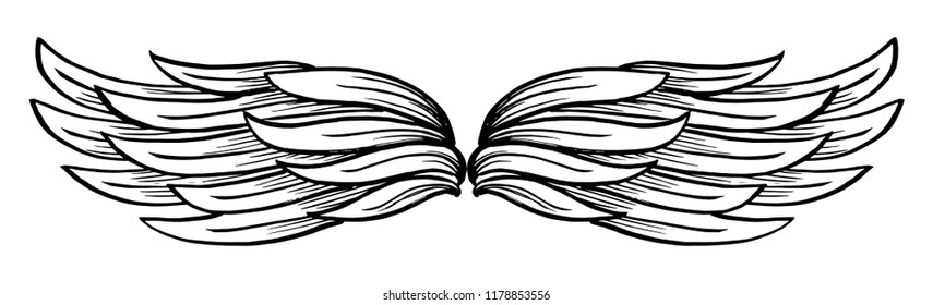 Hand drawn wing