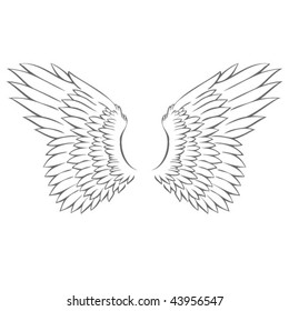 Hand Drawn Wing Design
