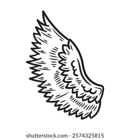 Hand Drawn Wing Illustration Colorless - 10