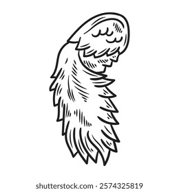 Hand Drawn Wing Illustration Colorless - 01