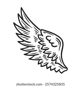 Hand Drawn Wing Illustration Colorless - 05