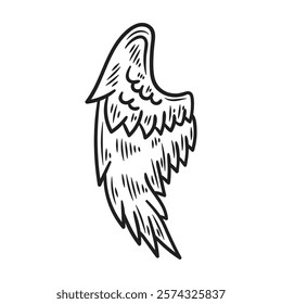 Hand Drawn Wing Illustration Colorless - 03