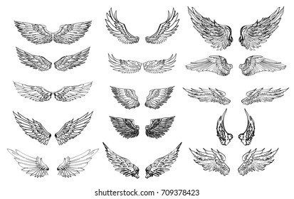 5,354,006 Wings Images, Stock Photos & Vectors | Shutterstock