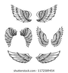 Hand Drawn Wing Sketch Angel Wings Stock Illustration 1525333010 ...