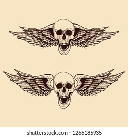 Hand drawn winged skull. illustration