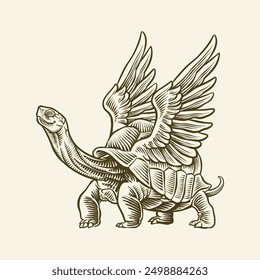 hand drawn winged turtle illustration