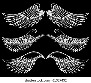 hand drawn wings