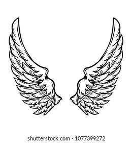 Hand drawn wings isolated on white background. Design element for poster, card, t shirt. Vector illustration