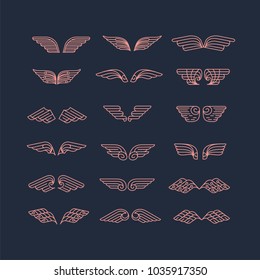 Hand Drawn Wings. Set of design elements. Vector illustration