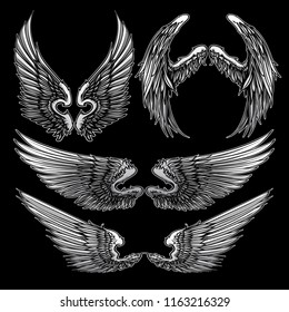 hand drawn wings vector set