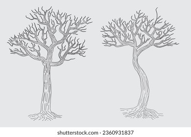 Hand drawn winter Bare Tree Sketch vector, bare Trees Leafless dead old dry No leaves pencil sketch illustration, Winter Naked Branch without leave Dead tree drawing Coloring Page nature forest icon

