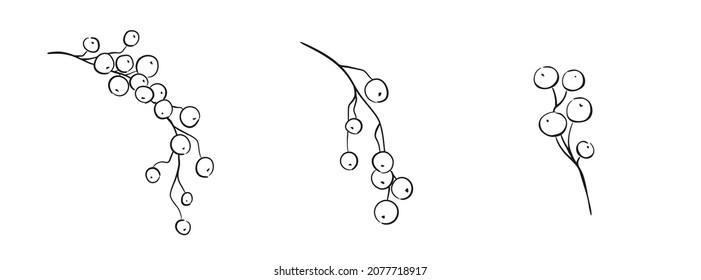 hand drawn winter berries set. sketchy vector elements for christmas and new year greeting cards and invitation design