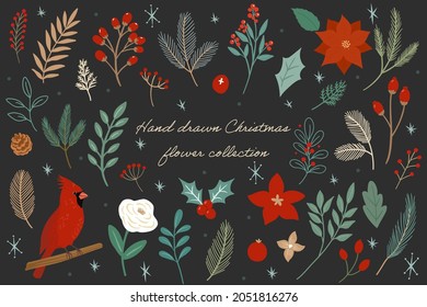 hand drawn winter botanical elements. leaves, flowers, and bird. set of natural cut out vector illustration.