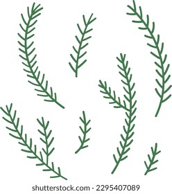 Hand drawn winter branches and leaves. Vector elements.