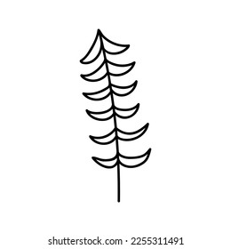 Hand drawn winter Christmas tree. Vector illustration of doodles