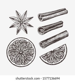 Hand drawn winter food illustration. Vector drawings of orange slices, anise and cinnamon