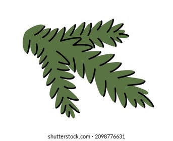 Hand drawn winter illustration of pine twig. Branch of spruce, fir. Conifer floral design. Cute simple needles botanical print. Flat vector in colored doodle style. Isolated.