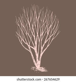 Hand drawn winter or late fall tree made in vector. 