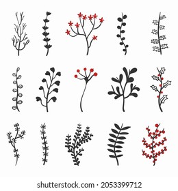 Hand drawn winter leaves and branches. Set of vintage doodle flowers Merry Christmas and Happy New Year. Floral twig, botanical branch with berry and leaf for cards or posters. Vector illustration.