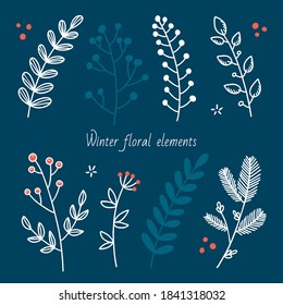 Elementos de plantas de invierno dibujadas a mano