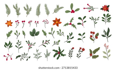 Dibujado a mano plantas de invierno hojas de bayas ilustración