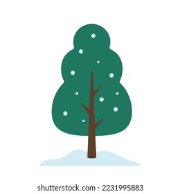 handgezeichneter Winterbaum mit Schnee in grüner, flacher Vektorgrafik für Clipart-Kunst für Gartenpark und Wald einzeln auf weißem Hintergrund