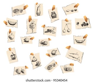 Hand drawn (with good precision level of detail) series of FRUITS and vegetables. (For similar vectors Check out my portfolio.)